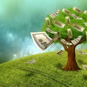 Money Tree | Aaron Katsman Financial Blog