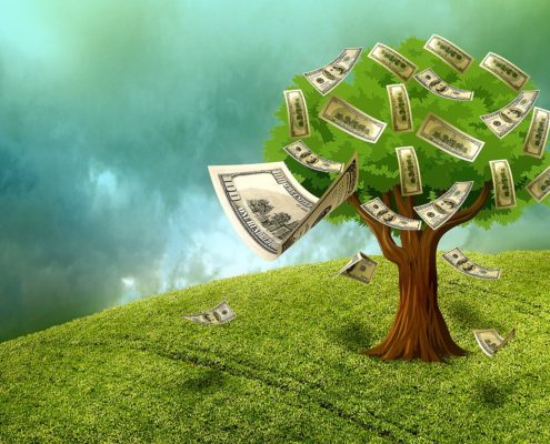 Money Tree | Aaron Katsman Financial Blog