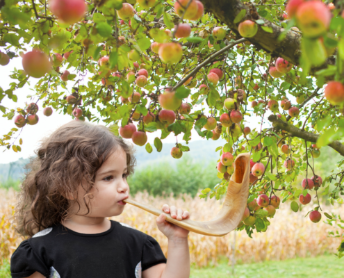 Rosh Hashana: A Sweet Financial New Year Through Reflection | Aaron Katsman Financial Blog