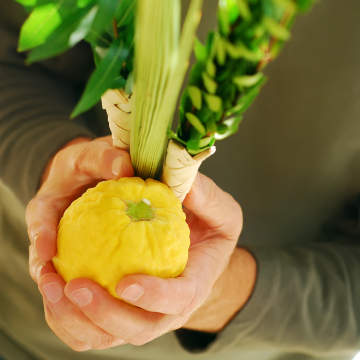 Sukkot, Return of Tourism, and Caring for Elderly Parents | Aaron Katsman