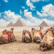 Leaving Egypt with Great Wealth and financial freedom | Aaron Katsman