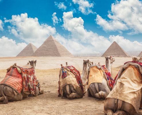 Leaving Egypt with Great Wealth and financial freedom | Aaron Katsman