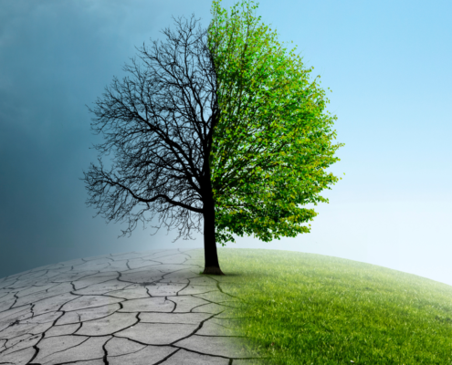 Climate change and retirement | Aaron Katsman Blog
