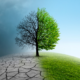 Climate change and retirement | Aaron Katsman Blog